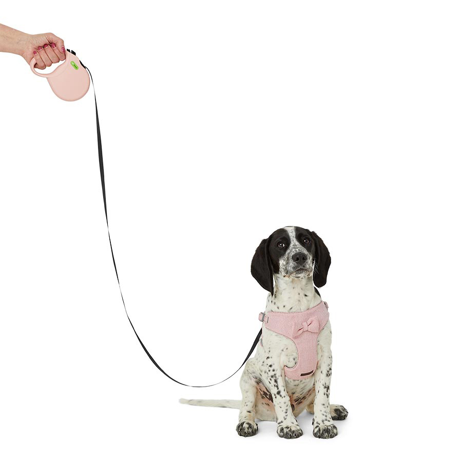 Just For Puppy Retractable Lead Small Pink Pets