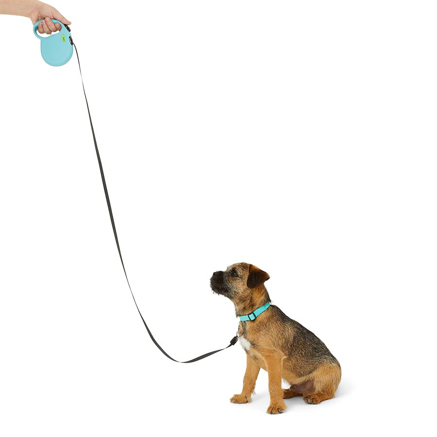 Just For Puppy Retractable Lead Small Green Pets