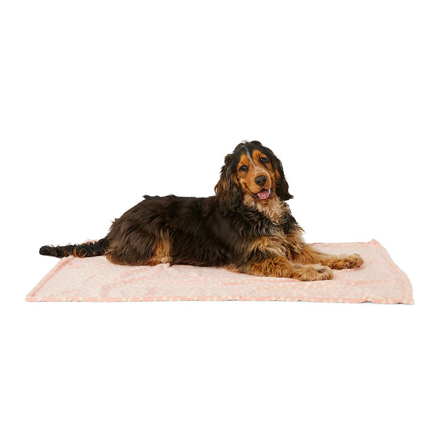 Pets at Home Spotty Fleece Puppy Blanket Pink Pets