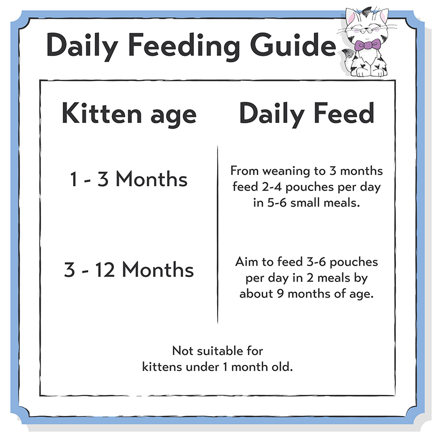 How much to feed a kitten 3 months hotsell