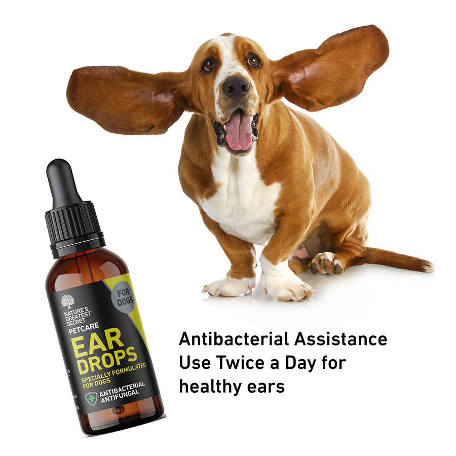 Nature s Greatest Secret Antibacterial Ear Drops Colloidal Silver Pets