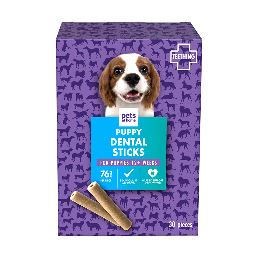 Puppy dental stick best sale