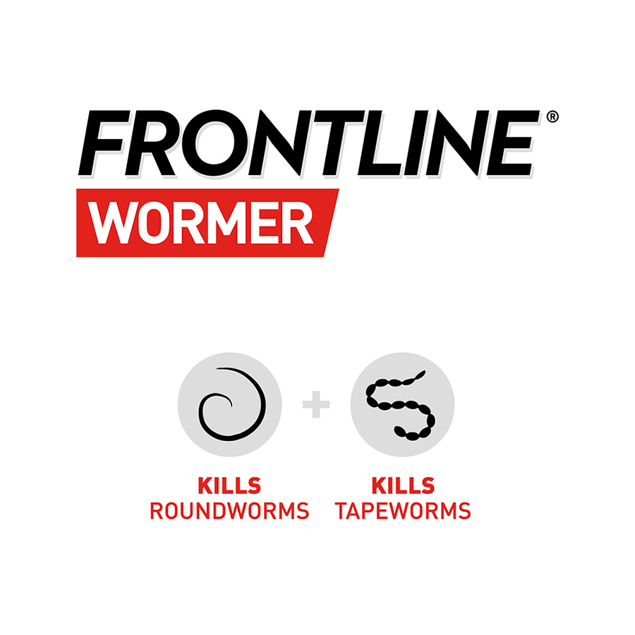 Frontline wormer for cats best sale