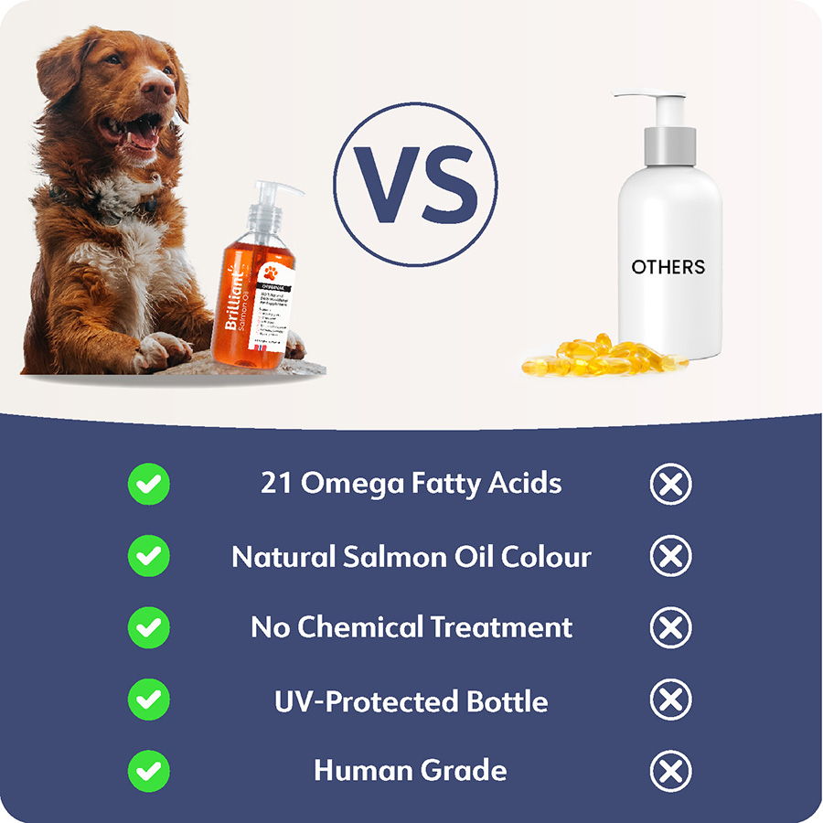 Salmon oil pets at home hotsell