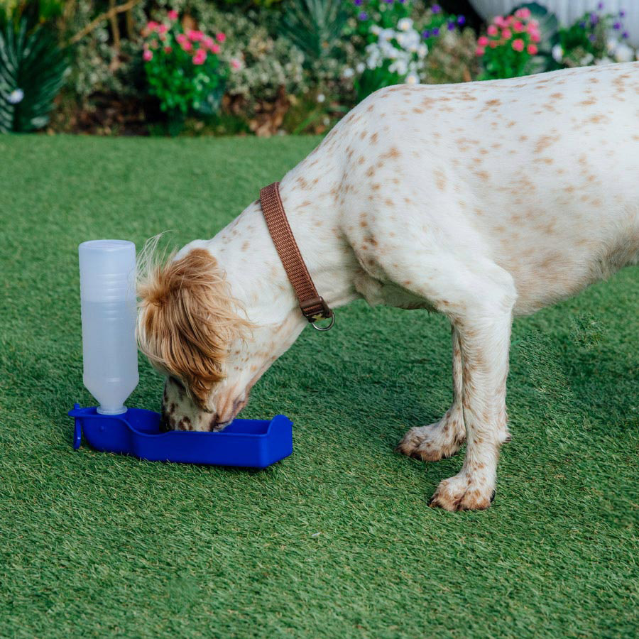 Pets at Home Dog Travel Water Bottle Blue Pets