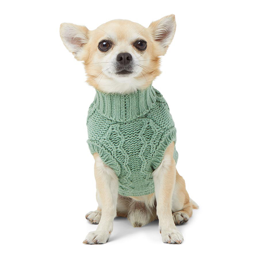 Harry barker dog apparel best sale