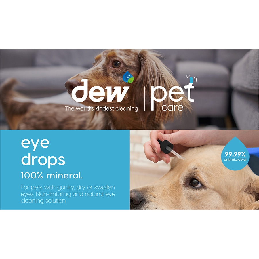 Homemade eye drops for dogs best sale