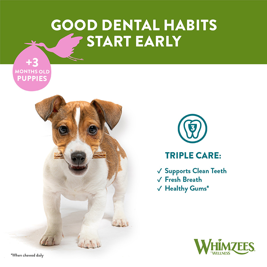 Whimzees Puppy Daily Dental Treats X Small Small Pets