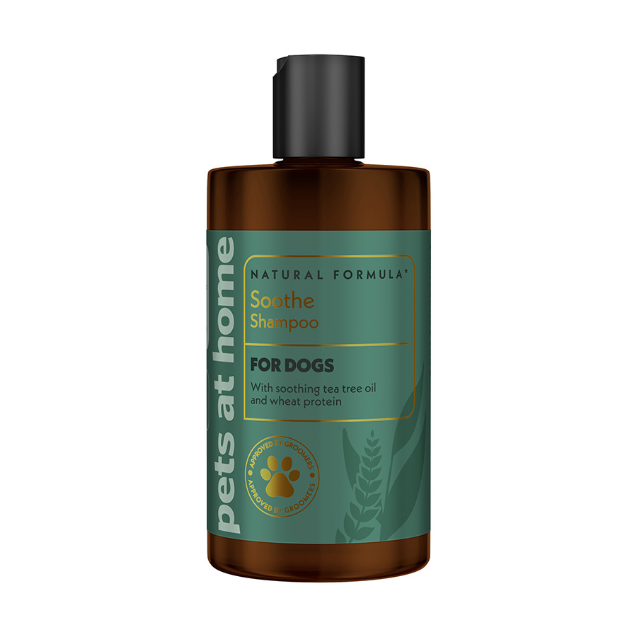 Adding tea tree oil to dog shampoo best sale