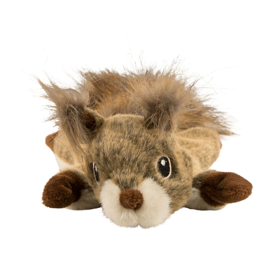 Wainwright s Realistic Squirrel Flattie Dog Toy