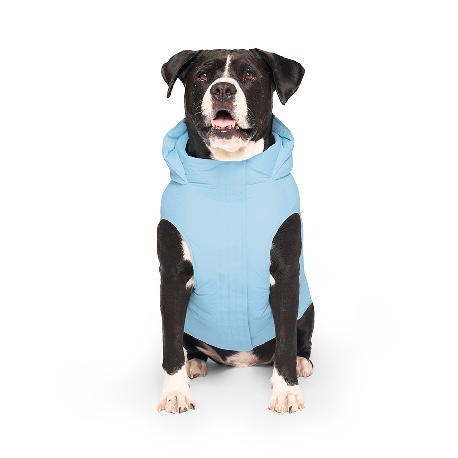 Canada Pooch Waterproof Puffer Dog Jacket Ice Blue