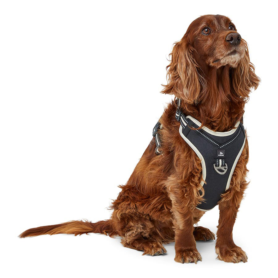 3 peaks harness pets at home best sale