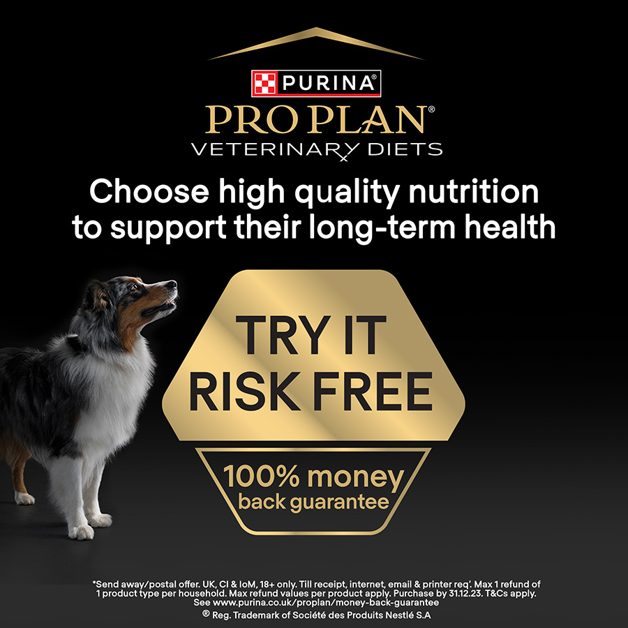 Pro Plan Vet Diet DRM Dermatosis Adult Dry Dog Food Pets