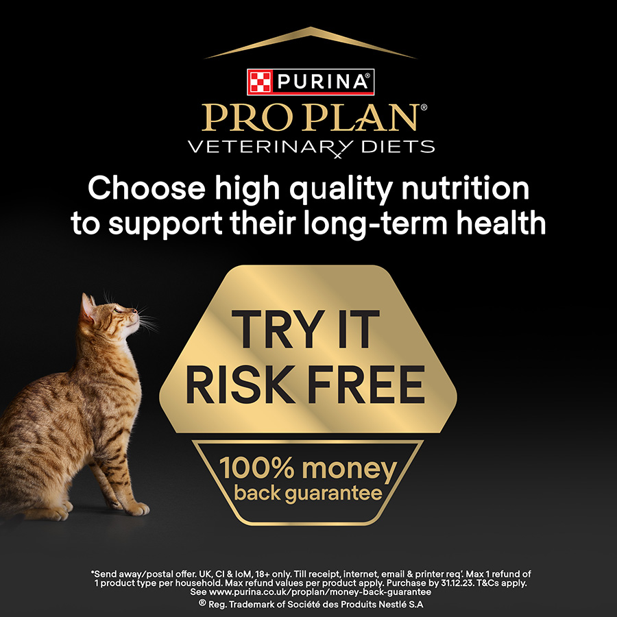 Pro Plan Vet Diet UR Urinary Adult Wet Cat Food Chicken Pets