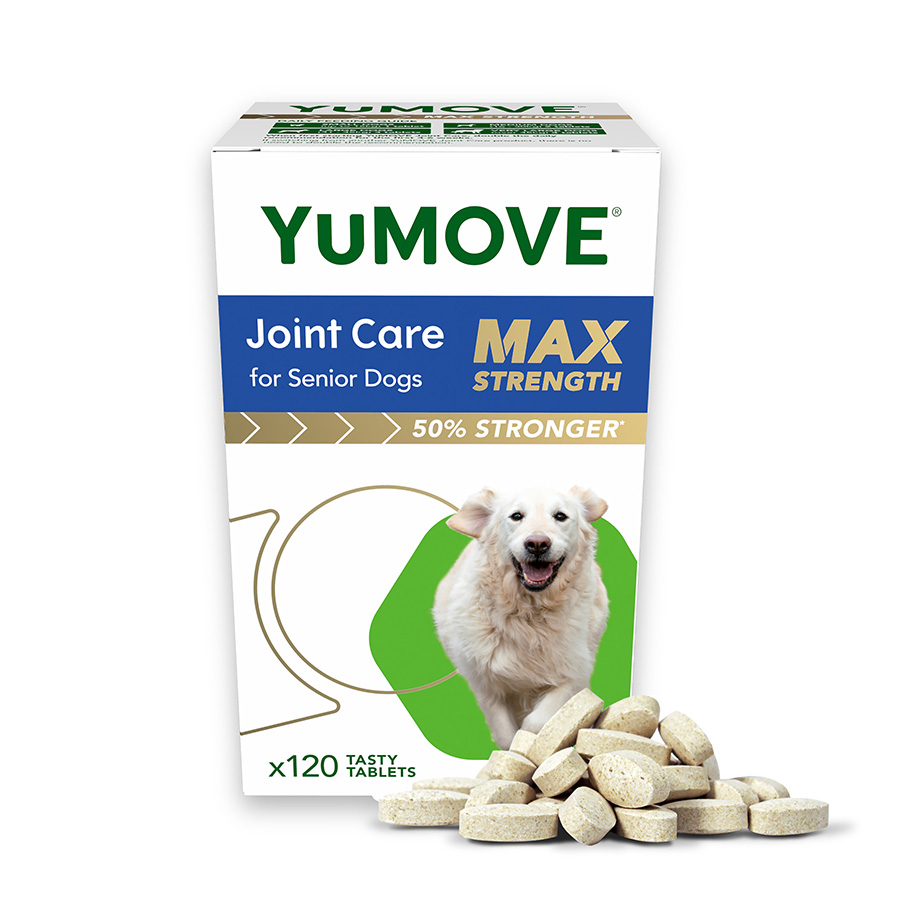 Extend joint care for dogs pets at home hotsell