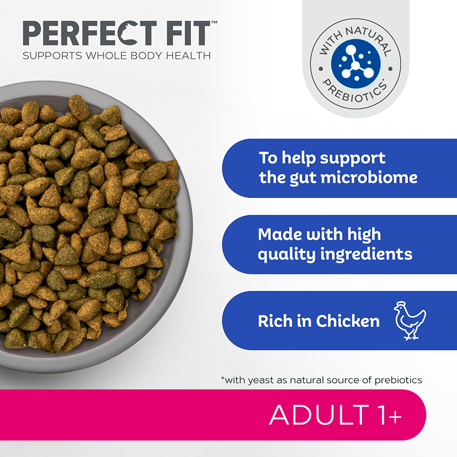 Perfect fit dog food discount