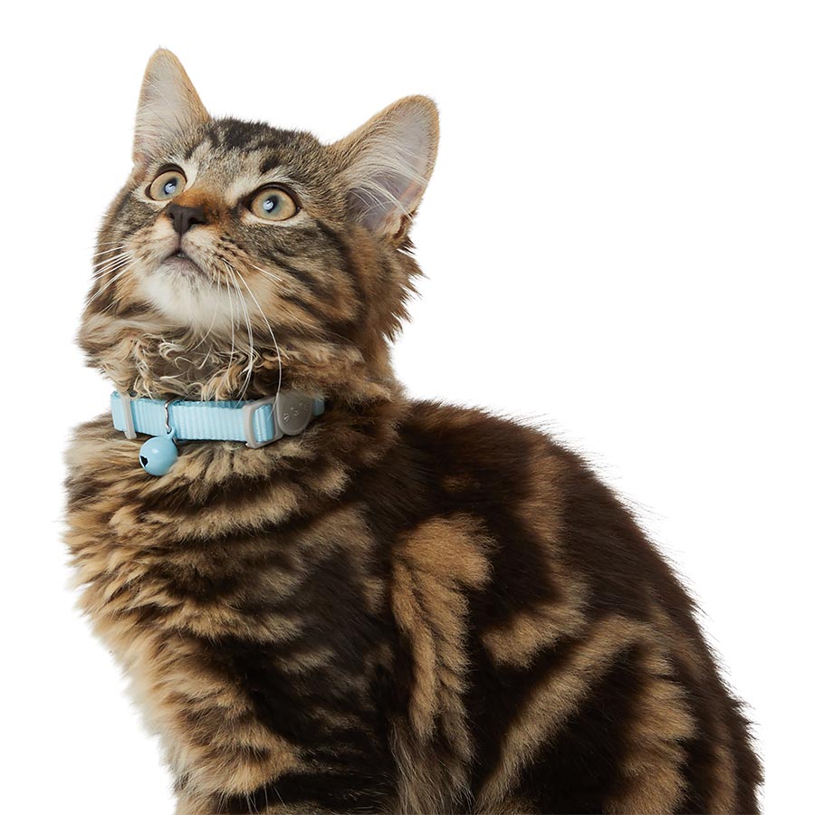 Pets at Home Kitten Collar Blue Pets