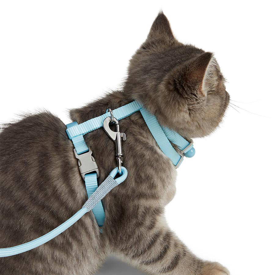 Pets at fashion home harness