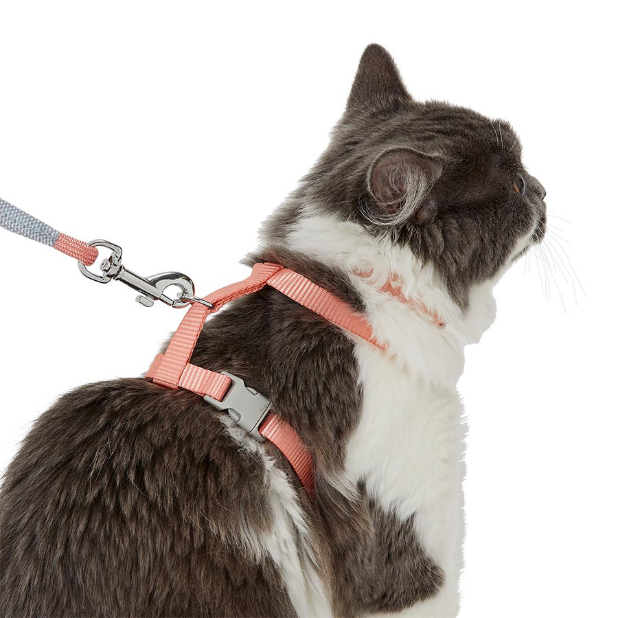 Pets at Home Kitten Collar Lead Harness Set Peach Pets