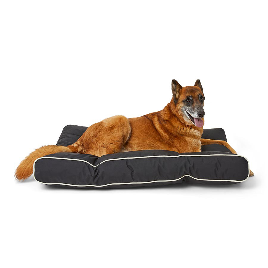 3 peaks fashion nevis dog bed xl