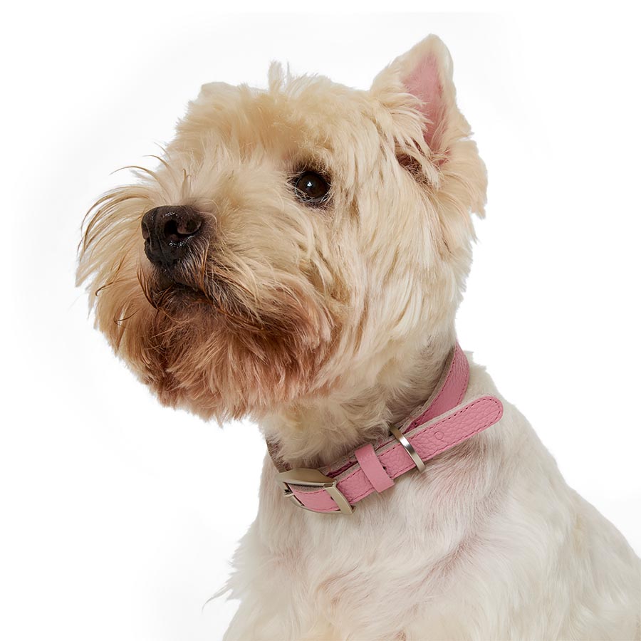 Noble Handcrafted Straight Leather Dog Collar Pink Small