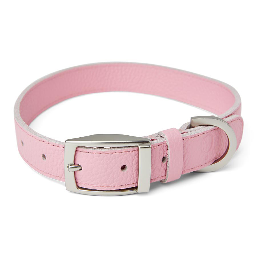 Pink rolled leather dog collar best sale