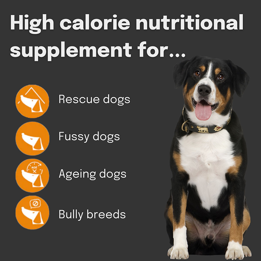 Pitbull weight gain supplements best sale