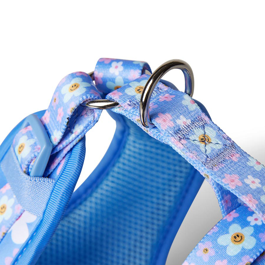 Image slide