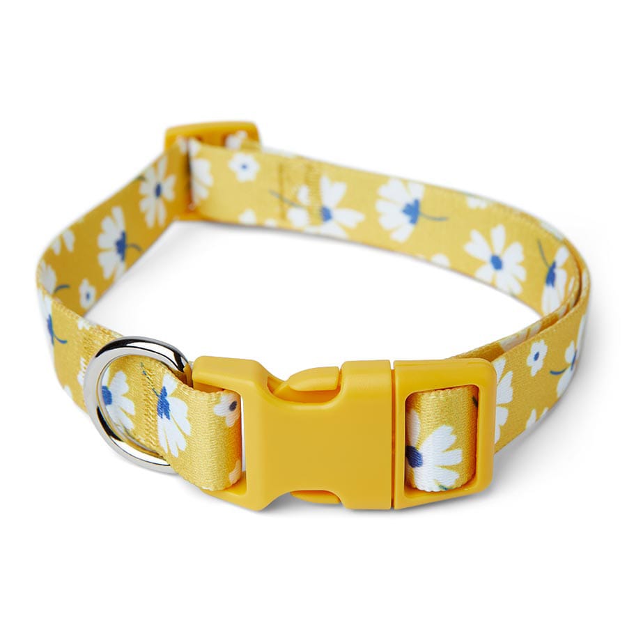 Pets At Home Daisy Print Dog Collar Yellow X Small / Small