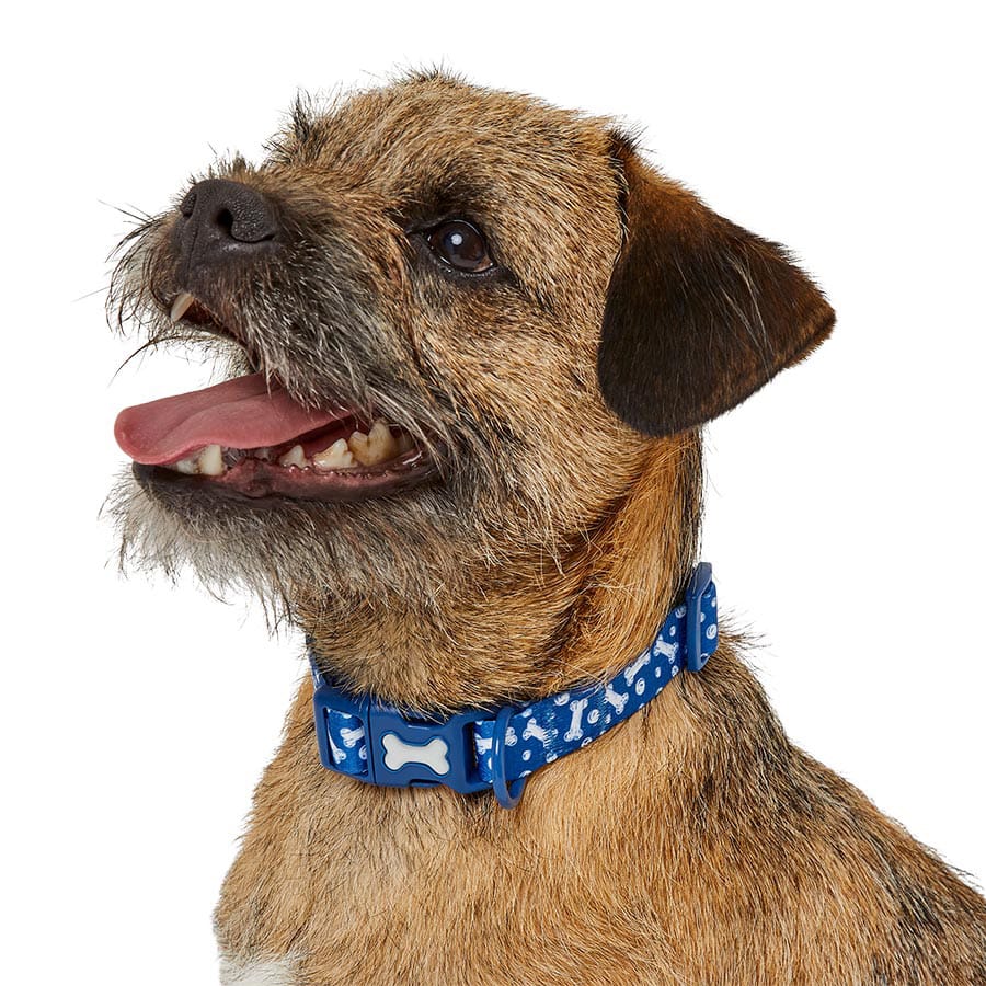 Pets At Home Bone Chalk Print Dog Collar Blue Small / Medium