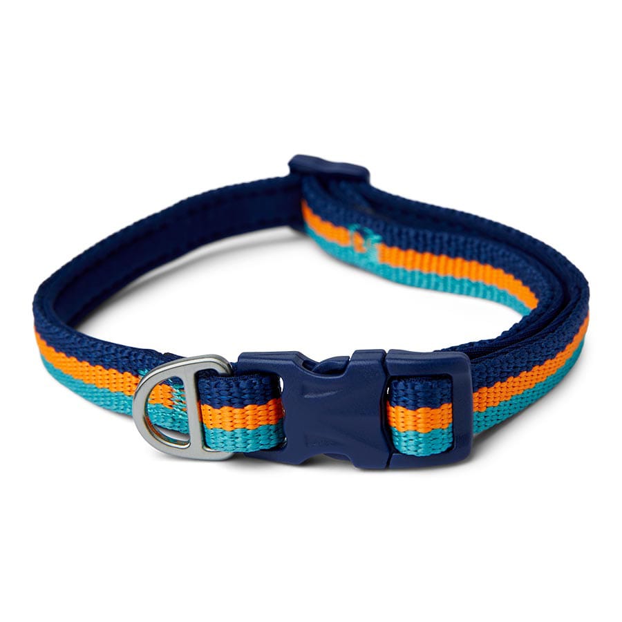 Pets At Home Rugged Stripe Dog Collar Multi Coloured X Small / Small