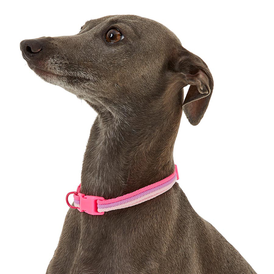 Pets At Home Woven Stripe Dog Collar Pink X Small-Small