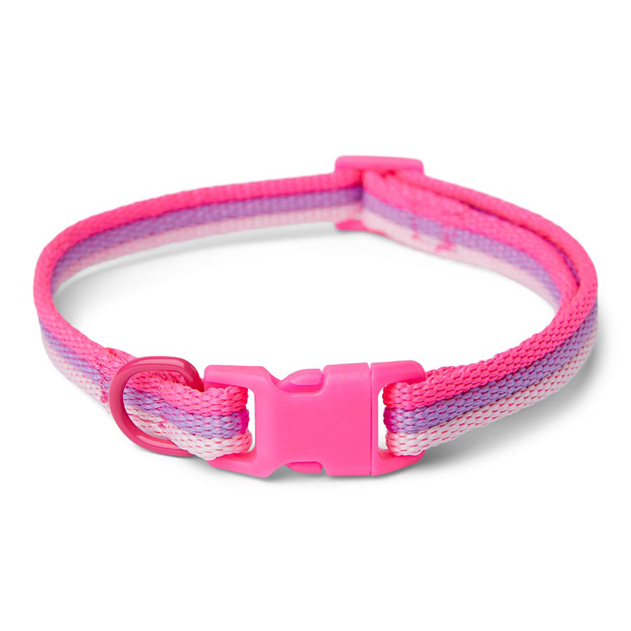 Pink dog collar pets at home hotsell