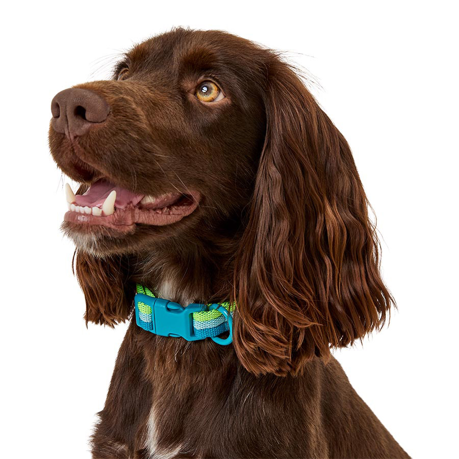 Pets At Home Woven Stripe Dog Collar Green Small-Medium