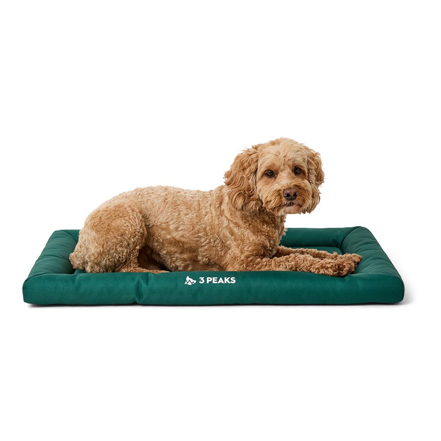 3 Peaks Dog Crate Mat Green Small
