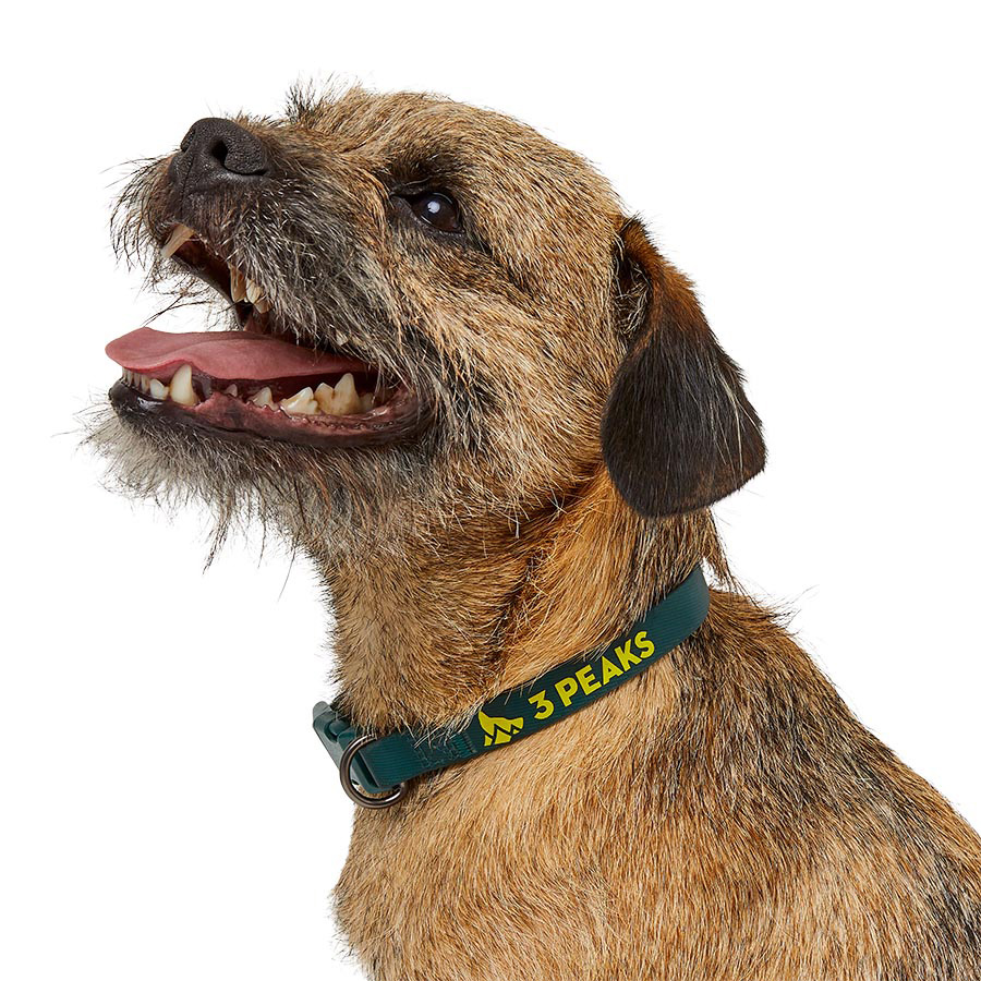 3 Peaks Waterproof Dog Collar Green Small