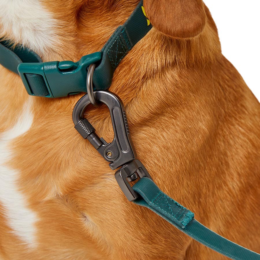 thumbnail image 2 of Genuine Leather Triple Coupler Dog Leash – Walk 3 Dogs Comfortably, With Handle 2 of 5