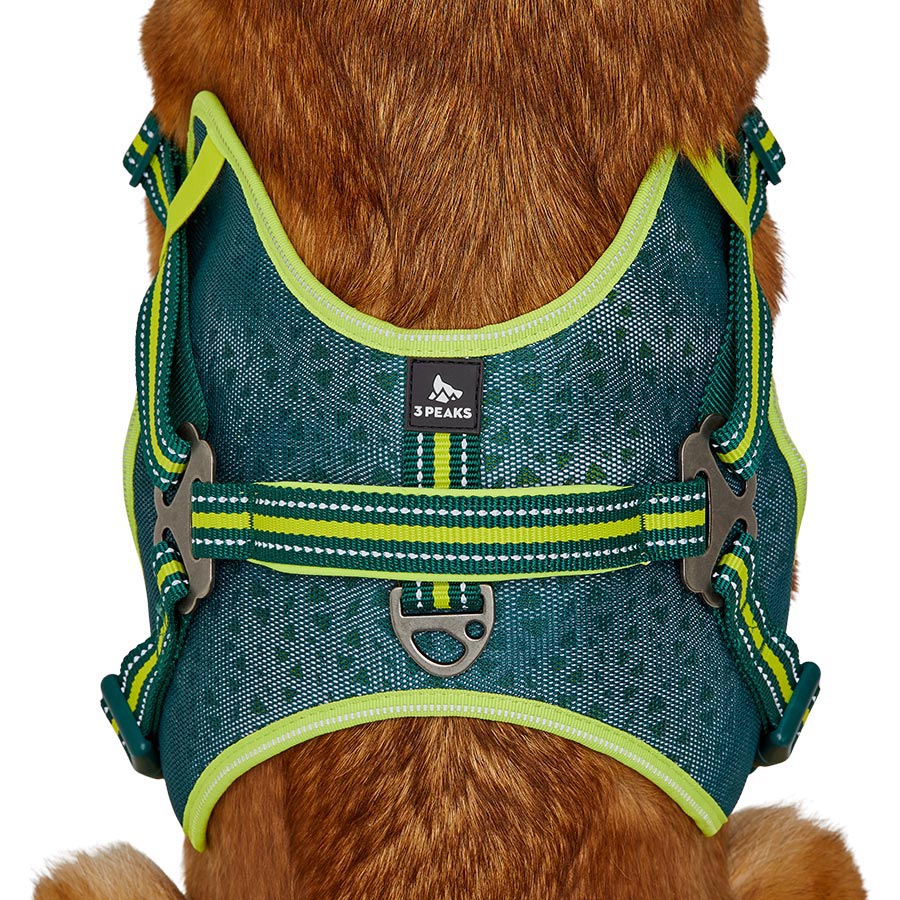 3 Peaks X Trail Dog Harness Green Pets