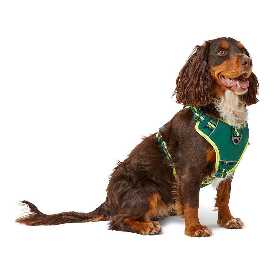 3 Peaks Sierra Dog Harness Green Pets