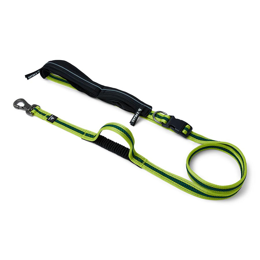 3 Peaks Running Dog Lead Large Green Pets