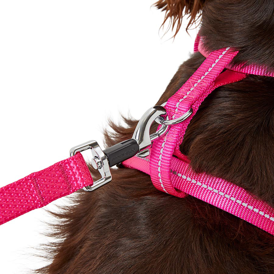 Pets at Home Design Padded Dog Lead Pink Pets