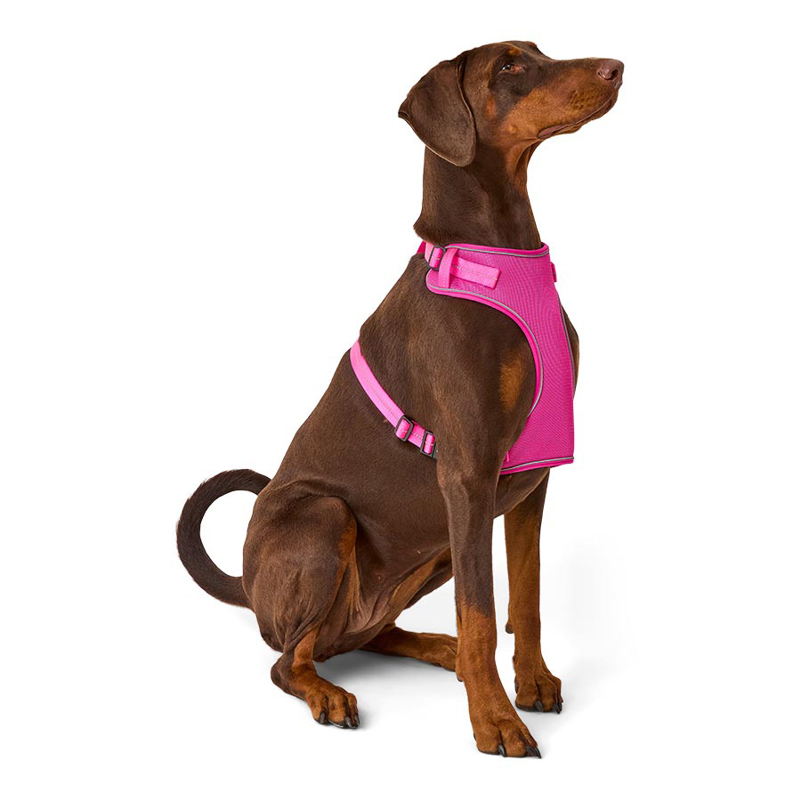 Pets At Home Basic Mesh Dog Harness Pink Large