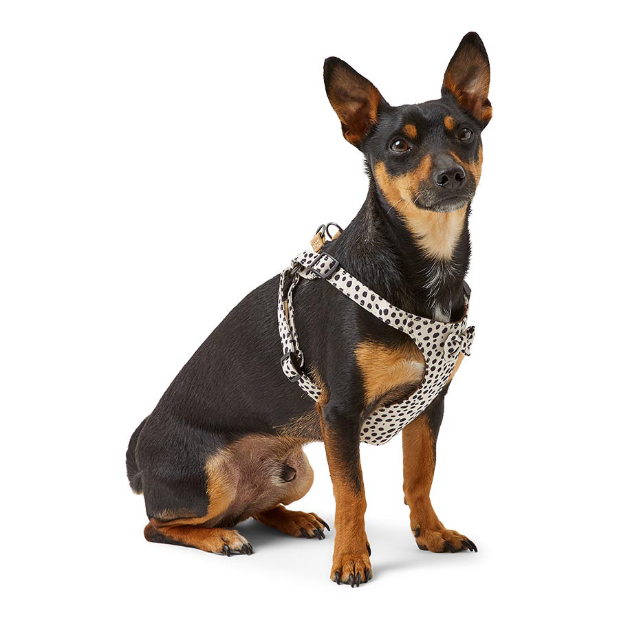 Pets at Home Dog Harness Animal Print Brown Pets