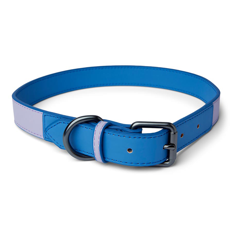 Pets At Home Duo Faux Leather Dog Collar Purple/Blue Medium