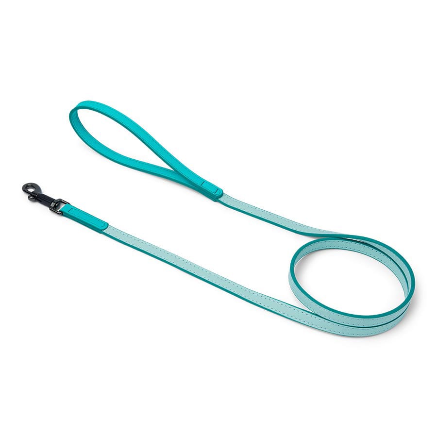 Pets At Home Duo Faux Leather Dog Lead Turquoise X Small / Small