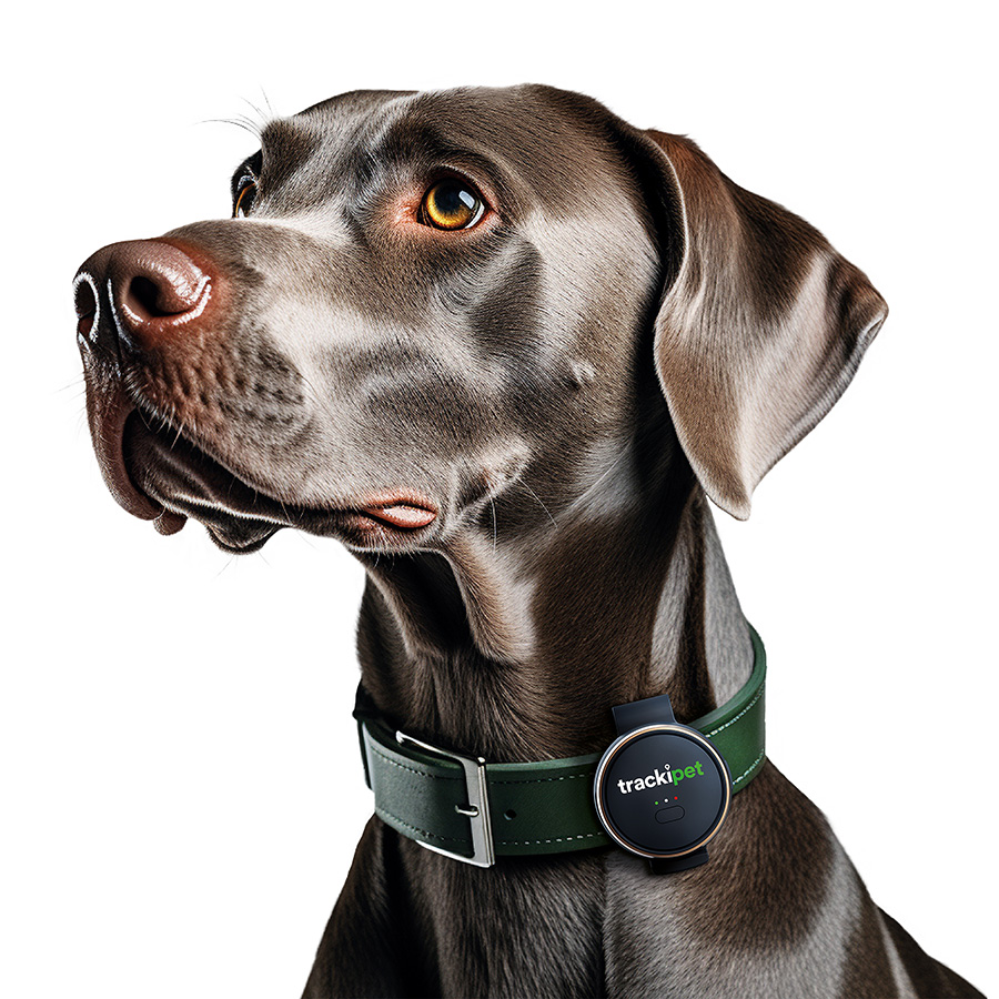 Trackipet 4G GPS Dog Tracker Pets