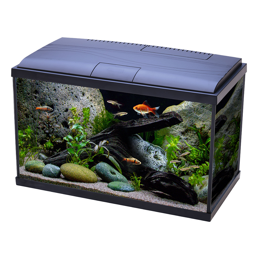 Tropical Fish Tanks Cabinets Pets