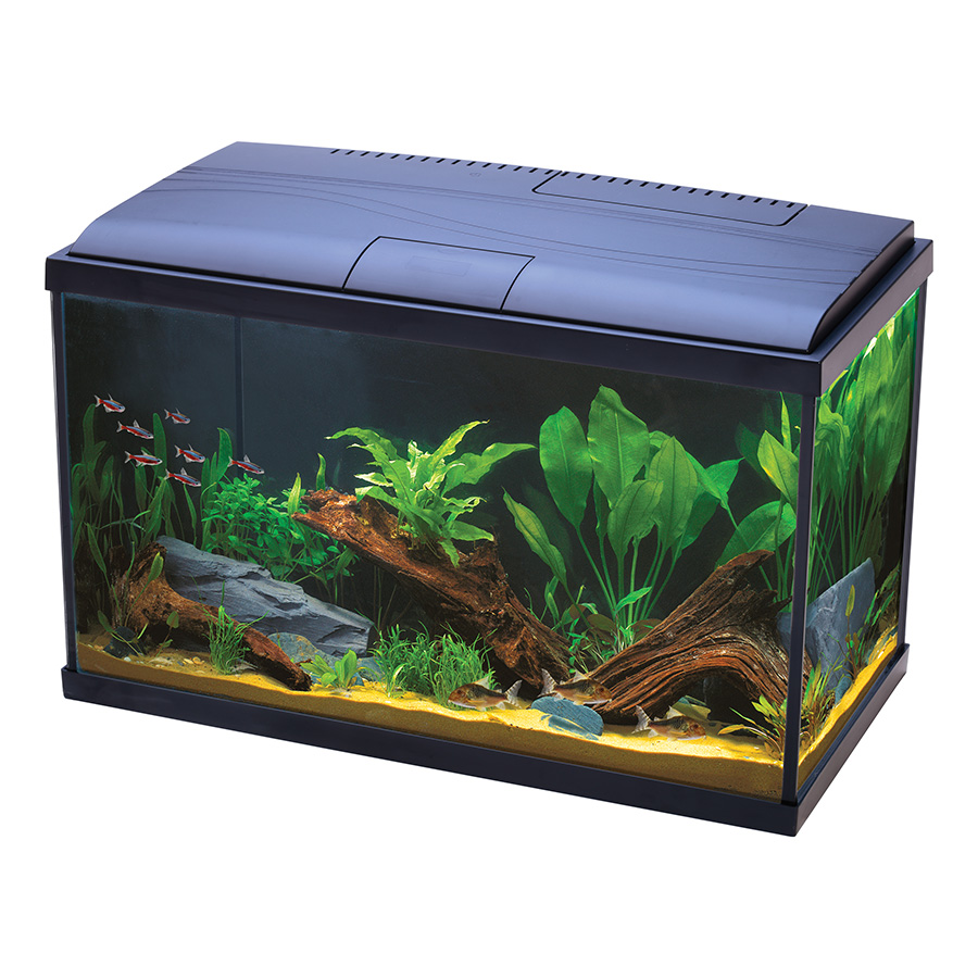 Places that buy fish tanks near me best sale