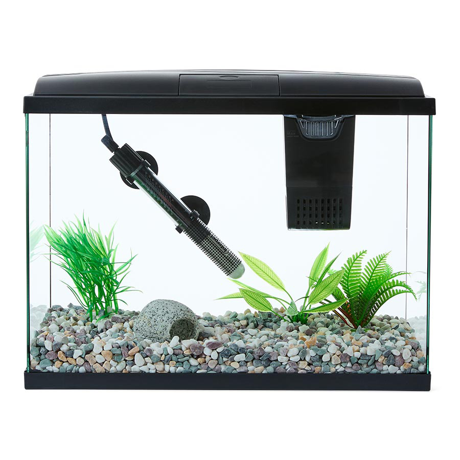 Easy care betta tank best sale