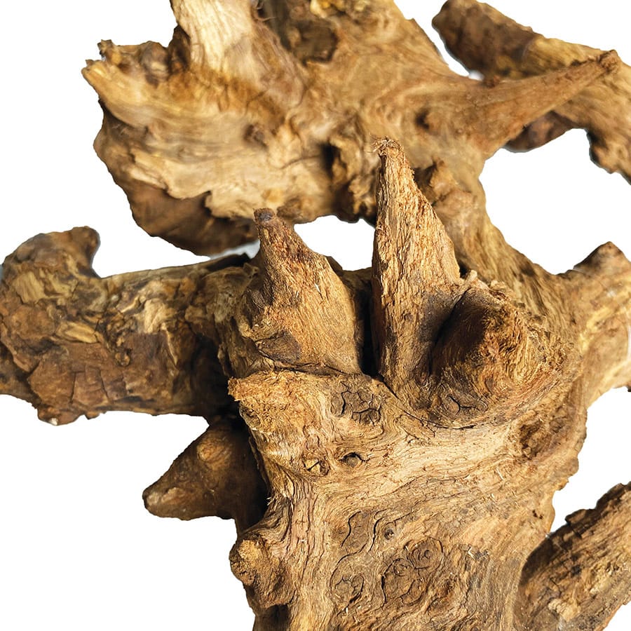 Marina Mopani Driftwood - Large Natural Aquarium Decor For Fish Tanks & Terrariums